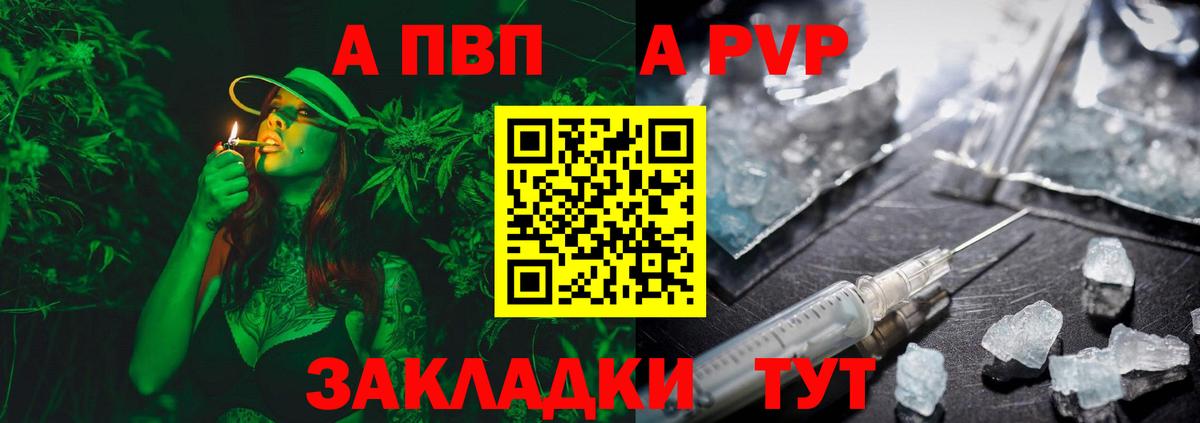 Альфа ПВП СК КРИС Буйнакск
