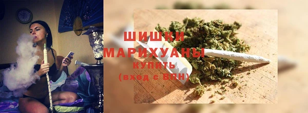 spice Сясьстрой