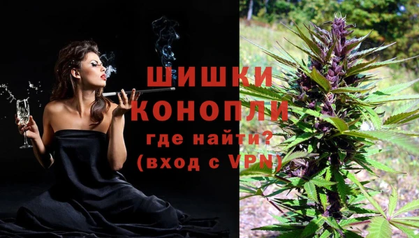 эйфоретик Белокуриха