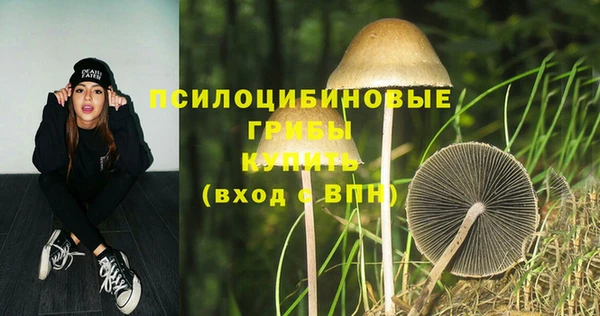 МДПВ Тавда