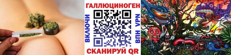Псилоцибиновые грибы Cubensis  Буйнакск 