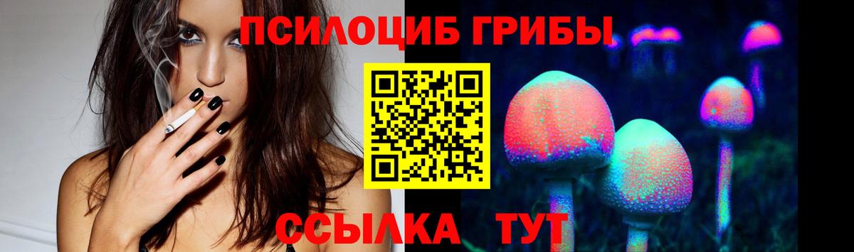 Псилоцибиновые грибы Psilocybe Буйнакск